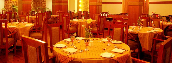 1535/Hotel Apna Palace - Indore 08.jpg